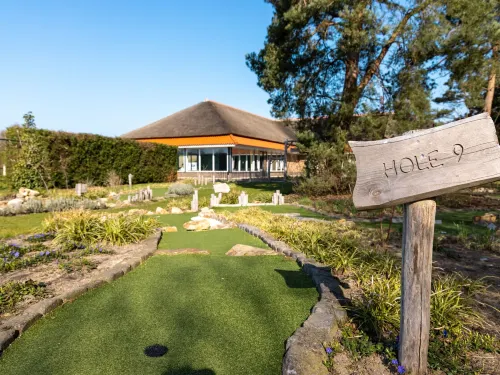 Bungalow in Veluwe Nature Park Retreat Hotels in Putten