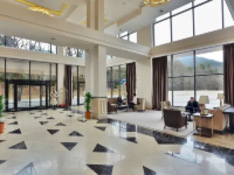 Borjomi Likani Health & Spa Centre Hotels in Borjomi