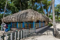 Playabachata Hotels near Amber Cove Beach