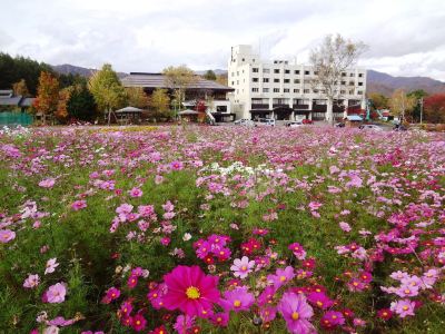 Surroundings Hotel Sunbird Photo