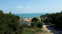Deluxe Beach Residence - Ocean View