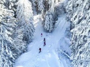 Nature Titisee - Easy.Life.Hotel.