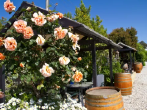 Beechworth on Bridge Motel Hotels in Beechworth