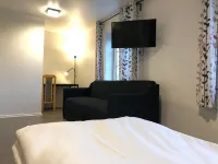 Hotel Aulum Kro فنادق في Vildbjerg