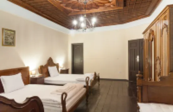 歷史旅館獨特旅館 大特爾諾沃酒店