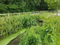 Streamside Apartments