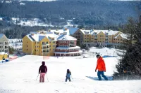 1Br Ski-in, Ski-Out with King Bed- Okemo Mtn Lodge 1 Bedroom Condo by RedAwning