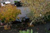 Hôtel Albion - parking