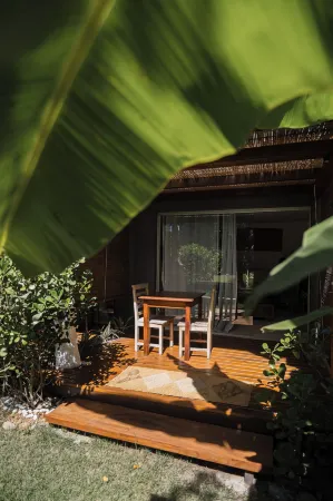 Villa Cozy Отели рядом с Аэропорт Порту-Сегуру