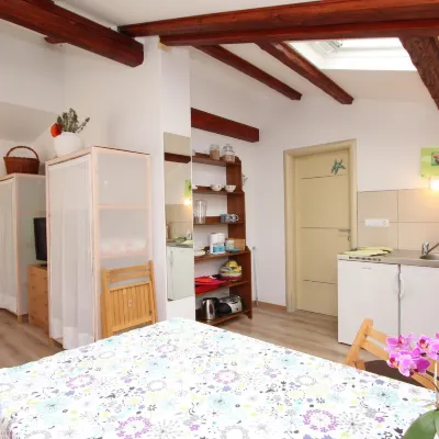 Studio Rovinj Home Hotels near Monkodonja Hill Fort