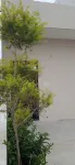 Yogam Homestay Agra Hotels in Bishari Bhand