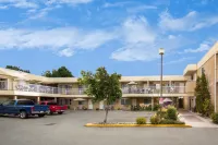 Siesta Suites Hotels near The View Winery & Vineyard