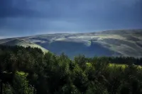 Mauldslie Hill Cottage - Homestays