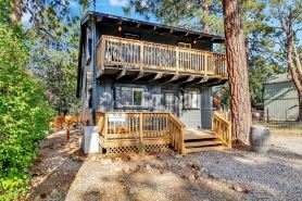 Large bear lodge #2488