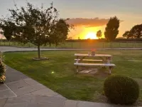 뉴 팜 홀리데이스  호텔