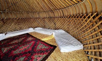 Glamping Svetlyi Mys