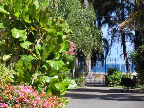 Tilacaze Bungalow (01)