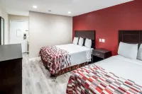 Red Roof Inn St George, UT - Convention Center - صديق للحيوانات الاليفة