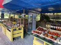 Small house with pedestrian access to Port d'Alon cove (St Cyr sur Mer) Hotels in Saint-Cyr-sur-Mer