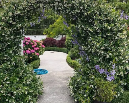 Hidden Gem - Bed & Breakfast Hotéis em Upper Hutt