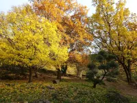 Gite de la Baracanne