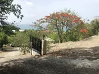 Escape the Cold During the Holidays. A Tropical Getaway!