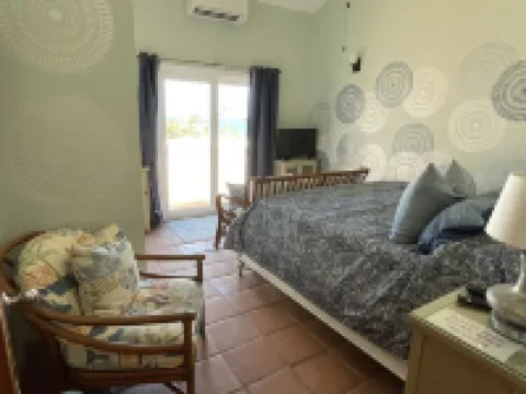 Private Gated Ocean Front Villa Pool&Tide Pool Cane Bay Beach Wifi Wedding Venue Hotels in Northcentral
