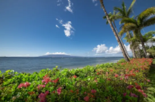 Lahaina Shores Beach Resort Studio