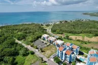 Spectacular Ocean View  Penthouse, Terrace, 2br, 2bth -  Surrounded by Nature