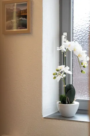 Wendelstein vacation apartment with all-round mountain views