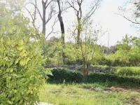 Gîtes Terra di a Bravona Hotels in Linguizzetta