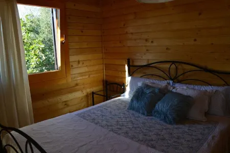 MOUNTAIN CHALET - VILLA