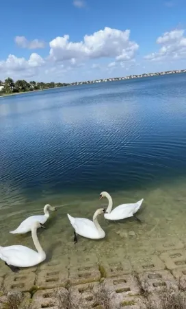 House on water (feels like the ocean ) w pool <br> Отели в г. Мирамар