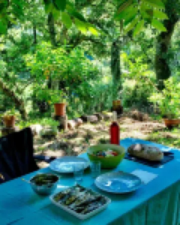 Quinta Senhora da Vida - a house in the middle of the forest, overlooking the sea