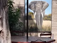 Nairobi Transit Lounge