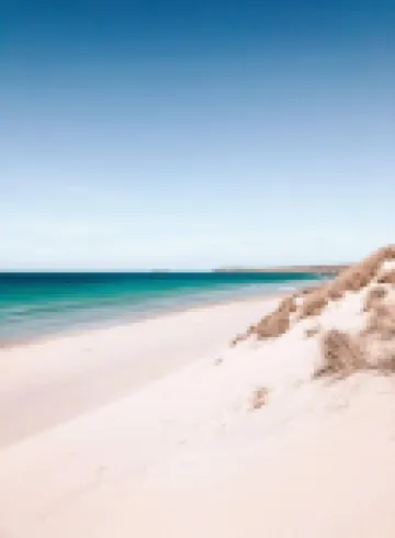 Peaceful Location Less Than One Mile From Beautiful Beaches