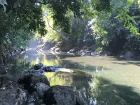 Casa Riviera- Walk to surf, tropical gardens, river access