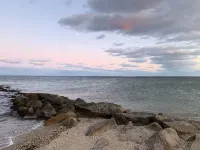 MV Surfside Hotel - Beach