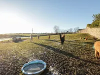 The Granary Loft Hotels in South Lakeland District
