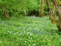Hendre Aled Cottage 3 - Хоумстей