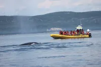 Gite la Bergeronnette Hotels in Tadoussac