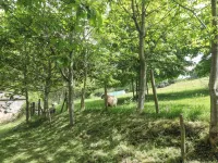 The Barn - Parking