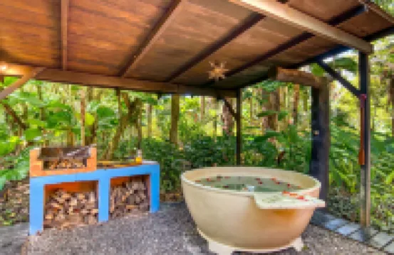 Tree House Lodge