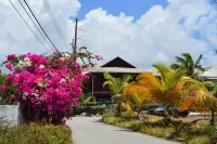 Green Garden Apartment - Wifi
