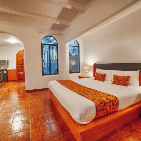 Hotel Casa Tequis San Luis Potosi Отели рядом с достопримечательностью «Театр Ла-Пас»