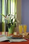 Amaryllis Hotel Apartments - breakfast