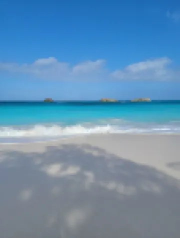 Seahaus • Newly Renovated Luxury Beachfront Home •