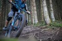 Trail Hotel Oberstaufen Hotels in Oberstaufen