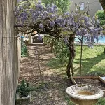 La Grande Maison Mazamet Hotels in Mazamet