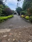 Maddy's Kitchen and Accommodation Hotels in Gisenyi